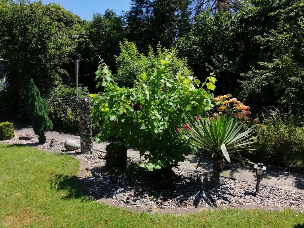 Glori 'S Fewo Bad Sooden-Allendorf Bagian luar foto